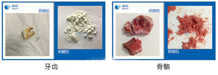 骨骼牙齒粉碎儀研磨效果圖